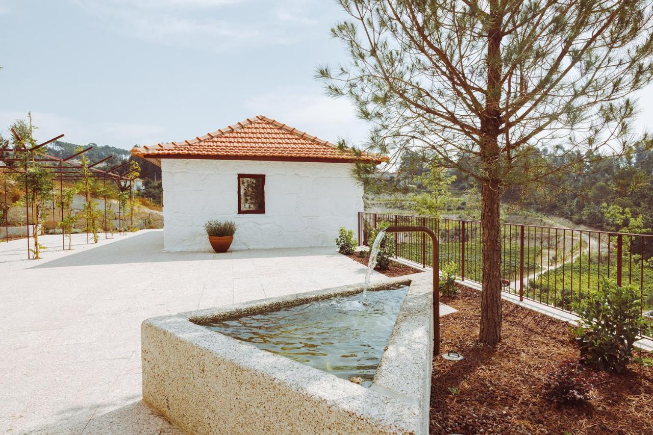 Oliveiras Village — Agroturismo アマランテ エクステリア 写真